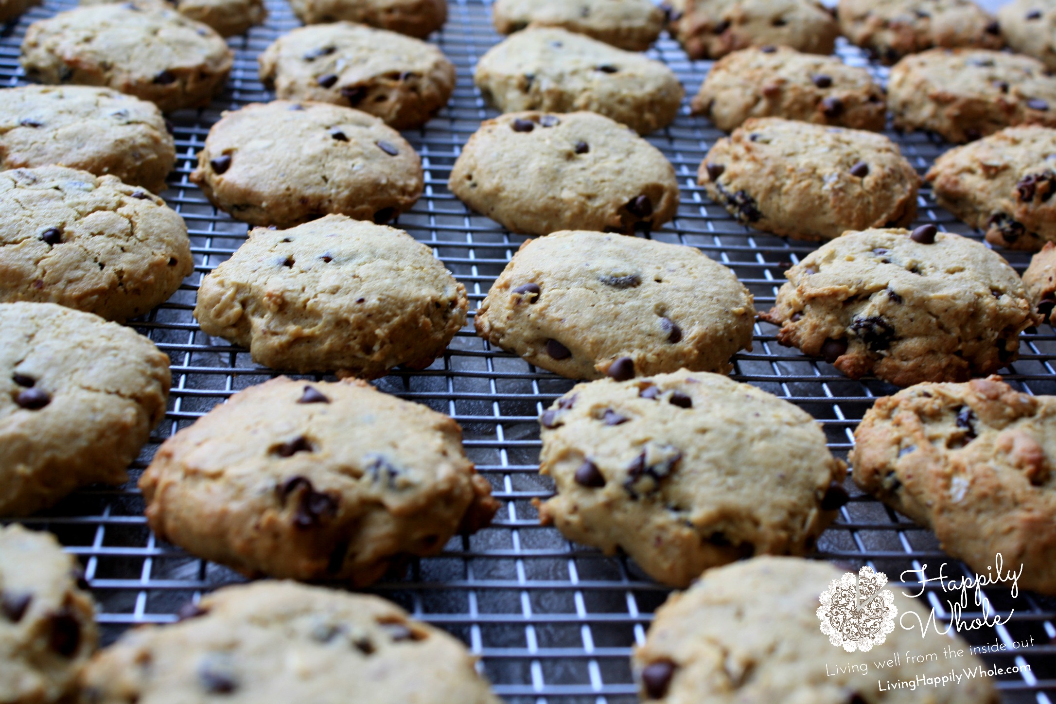 Breakfast cookies, gluten free, chickpea flour, oats