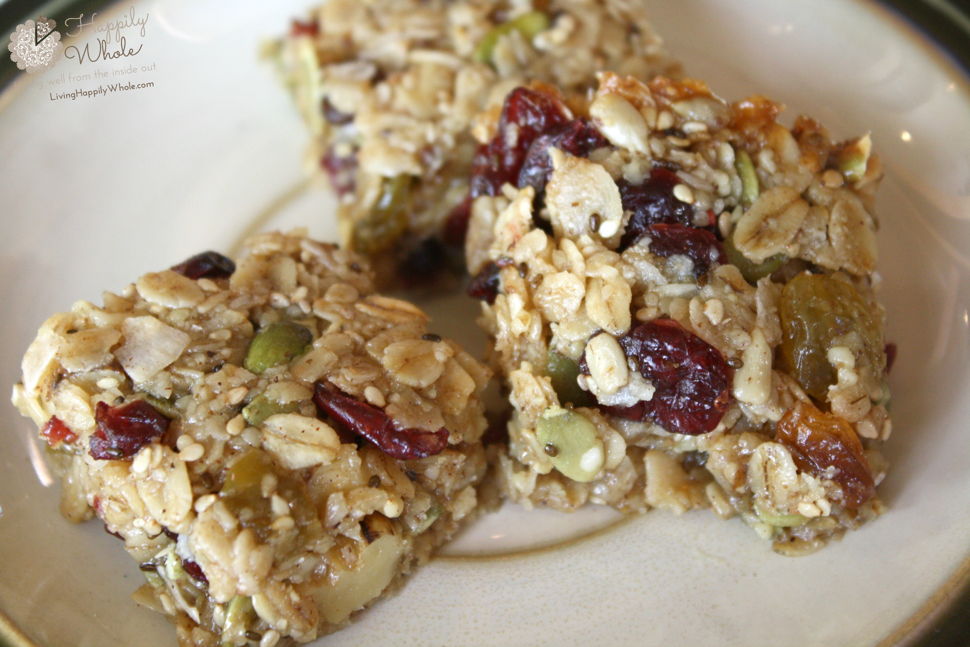 Chewy Caramel(ish) Granola Bars