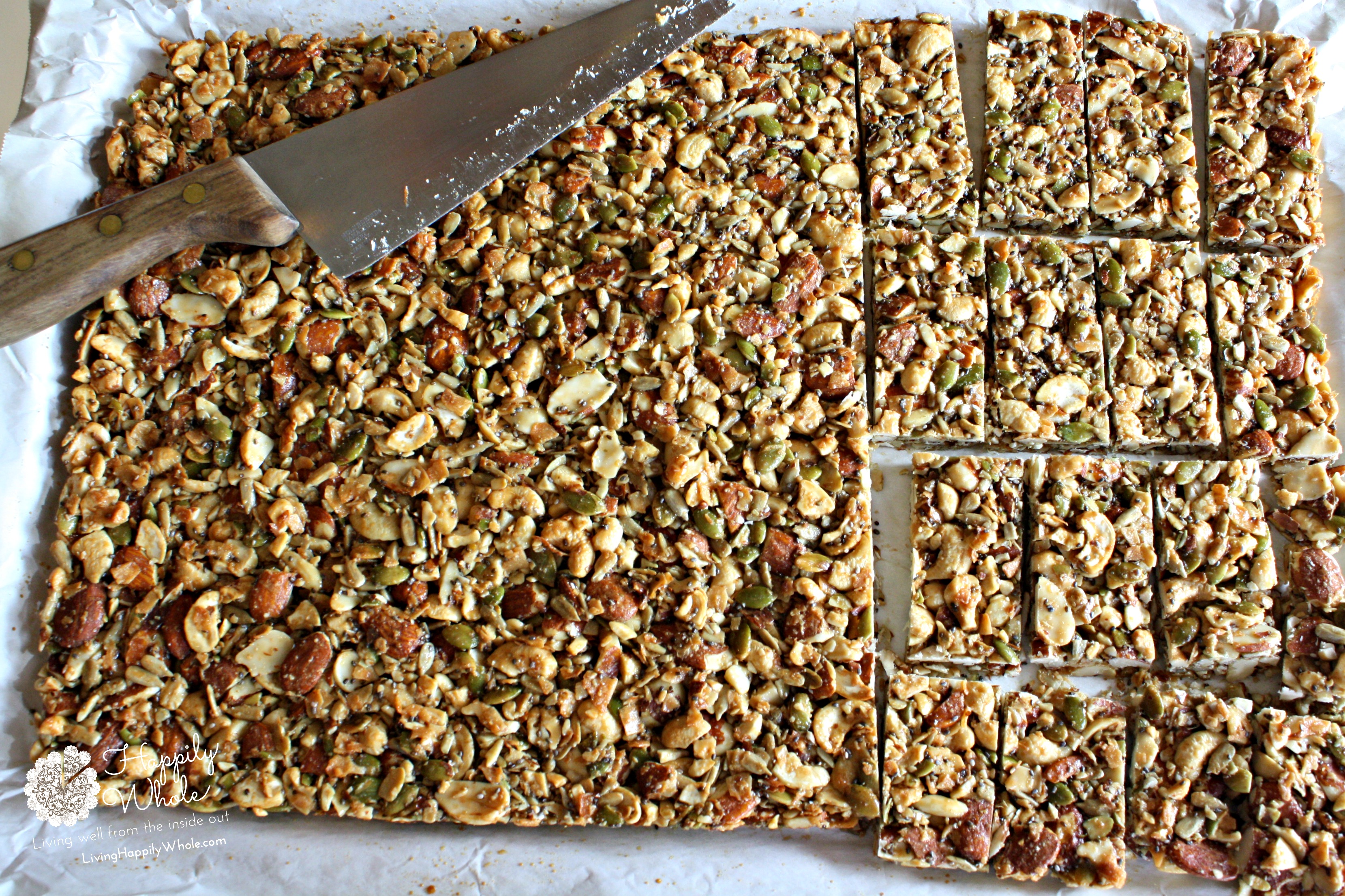 Dark Chocolate Toasted Seed-n-Nut Bars~Baked and sliced