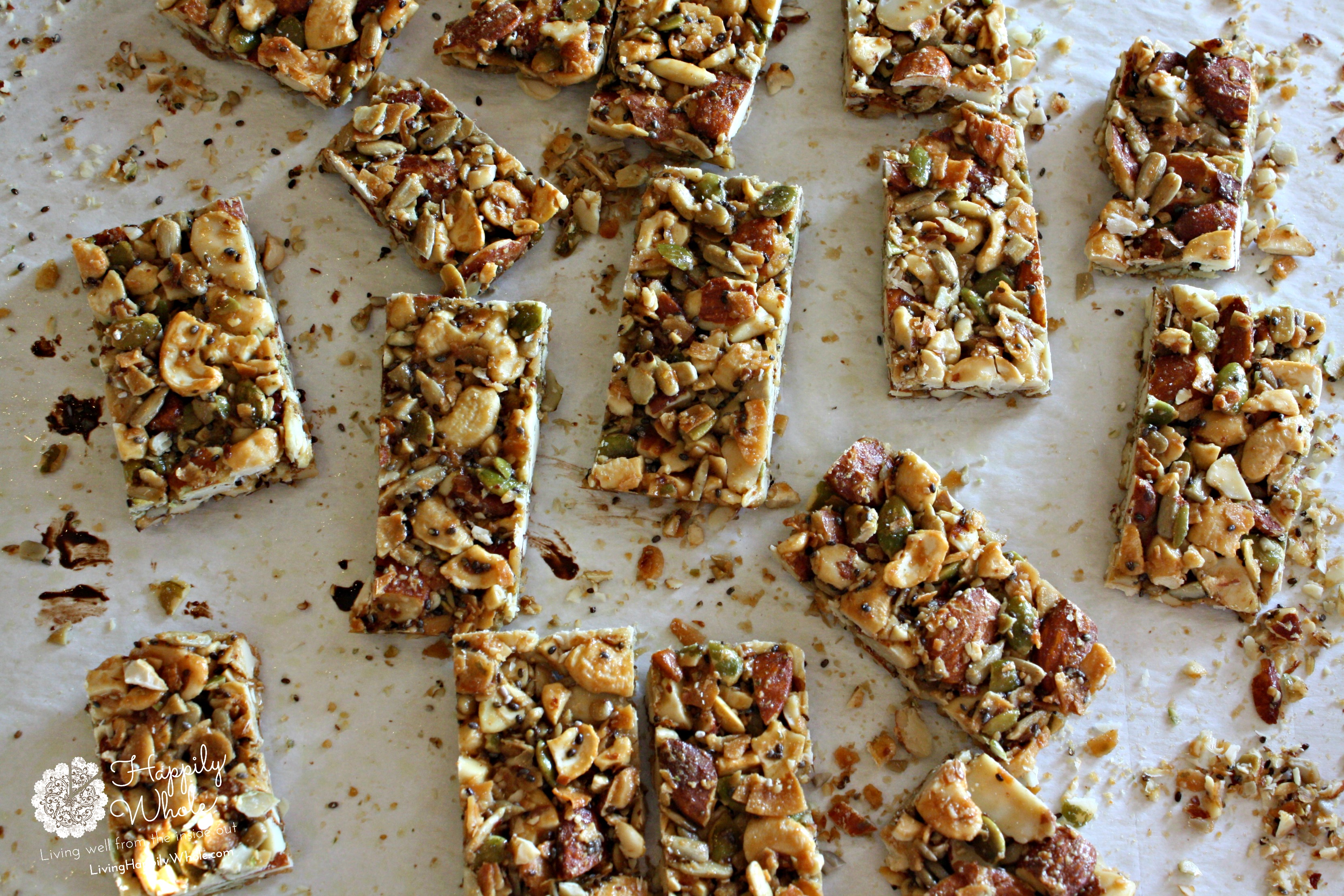 Dark Chocolate Toasted Seed-n-Nut Bars~Baked and sliced