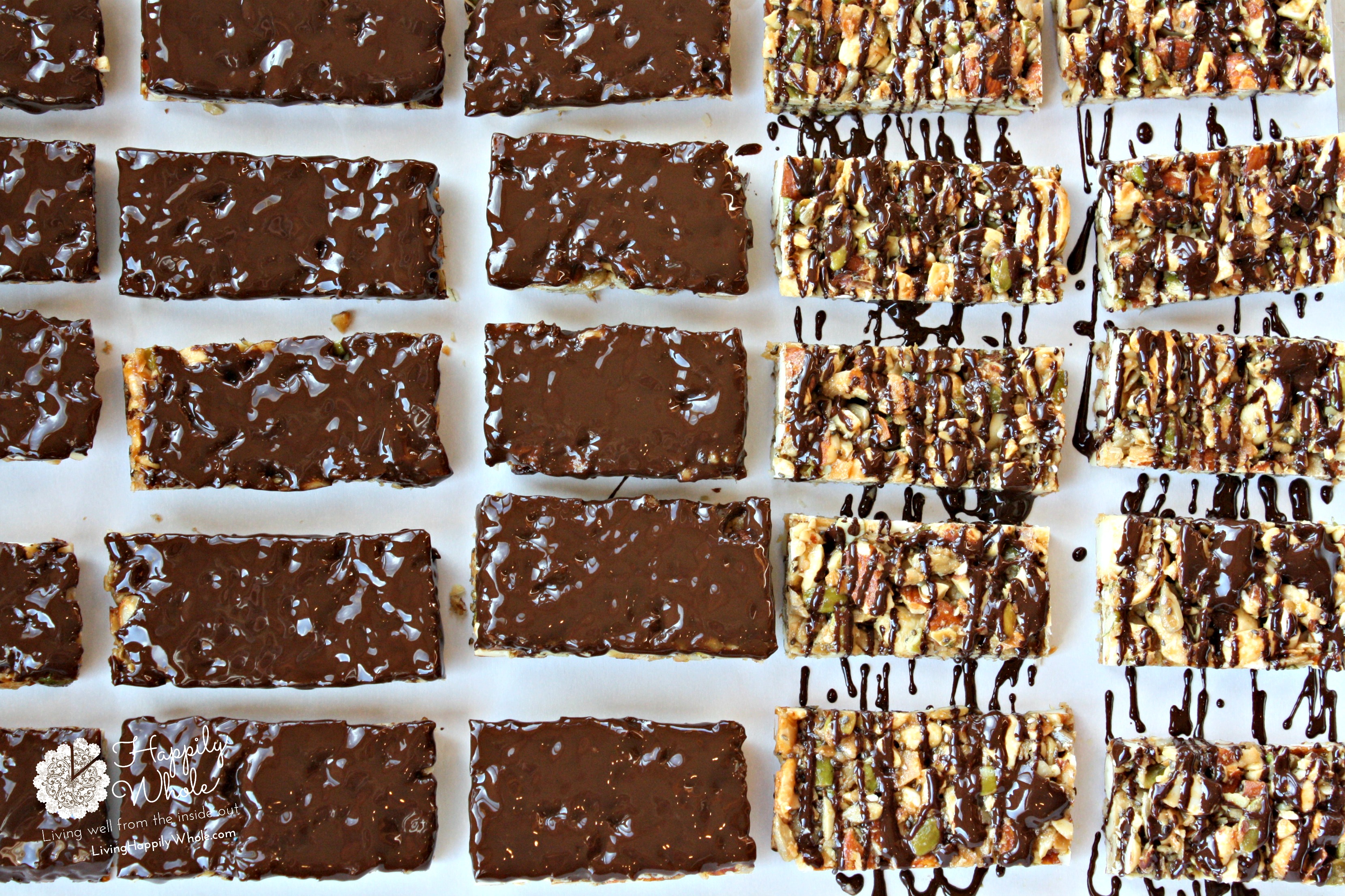 Dark Chocolate Toasted Seed-n-Nut Bars