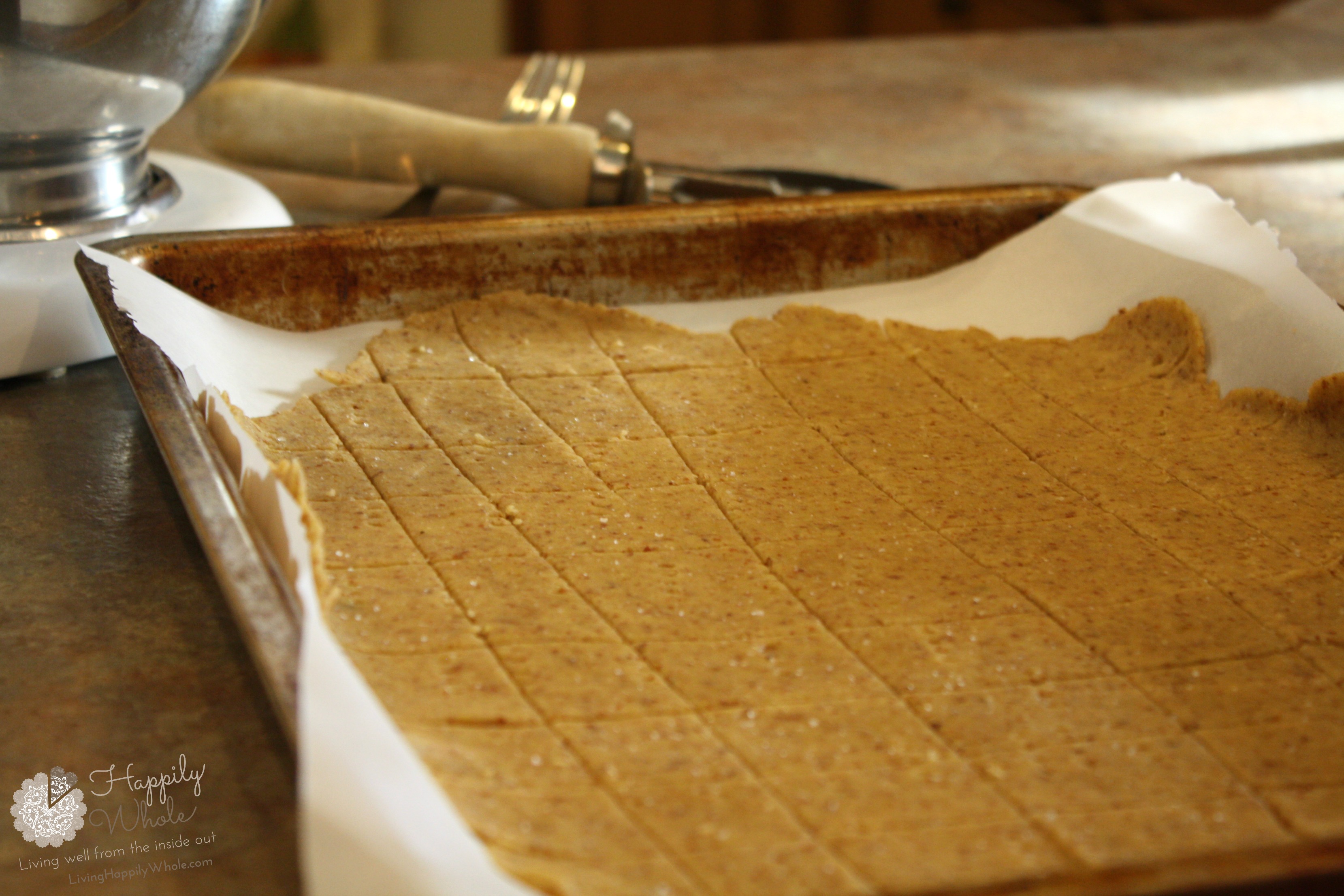 Gluten Free MultiGrain Cracker Dough rolled out