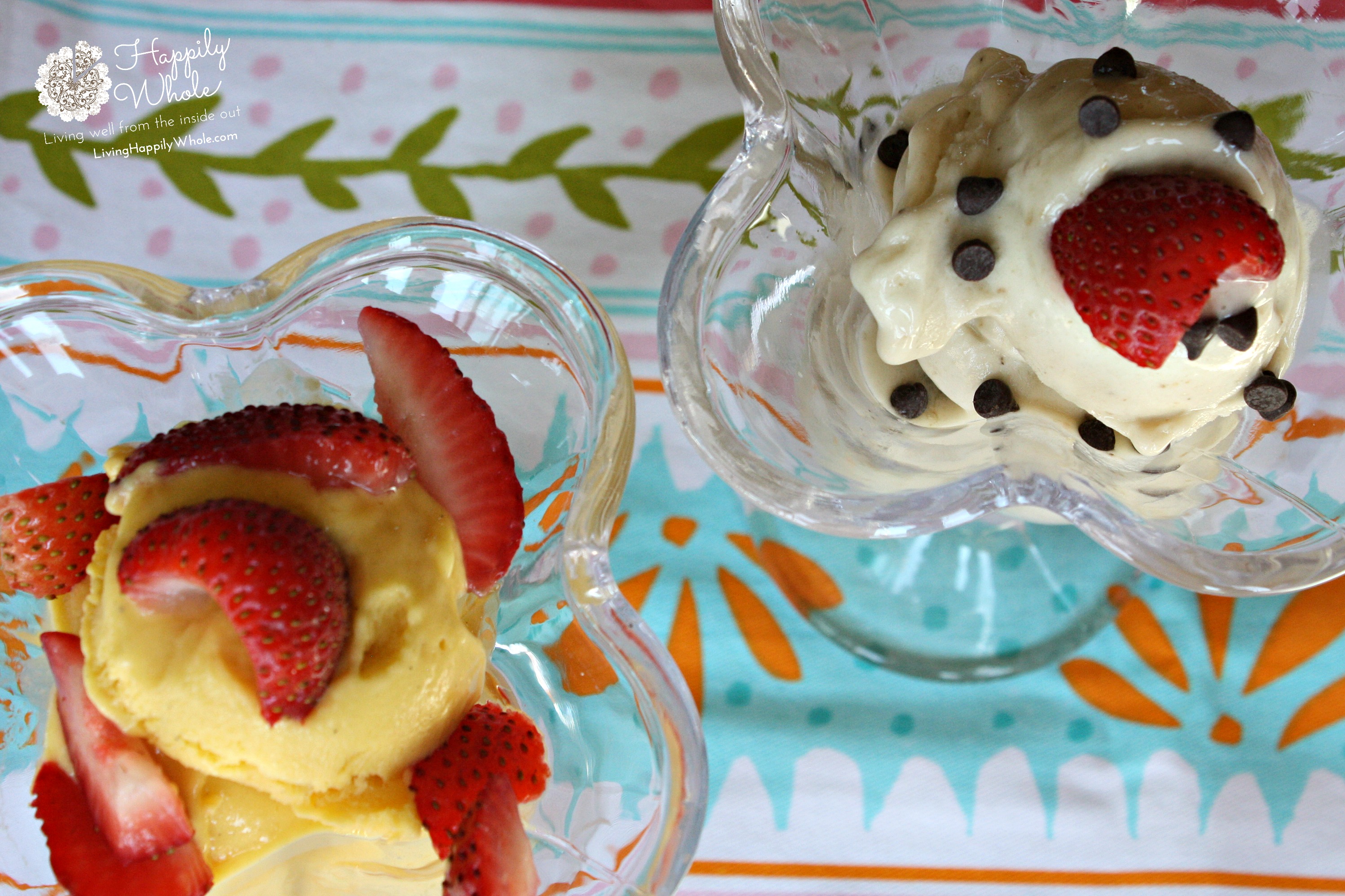 Healthy Mango Frozen Yogurt and Banana Soft Serve