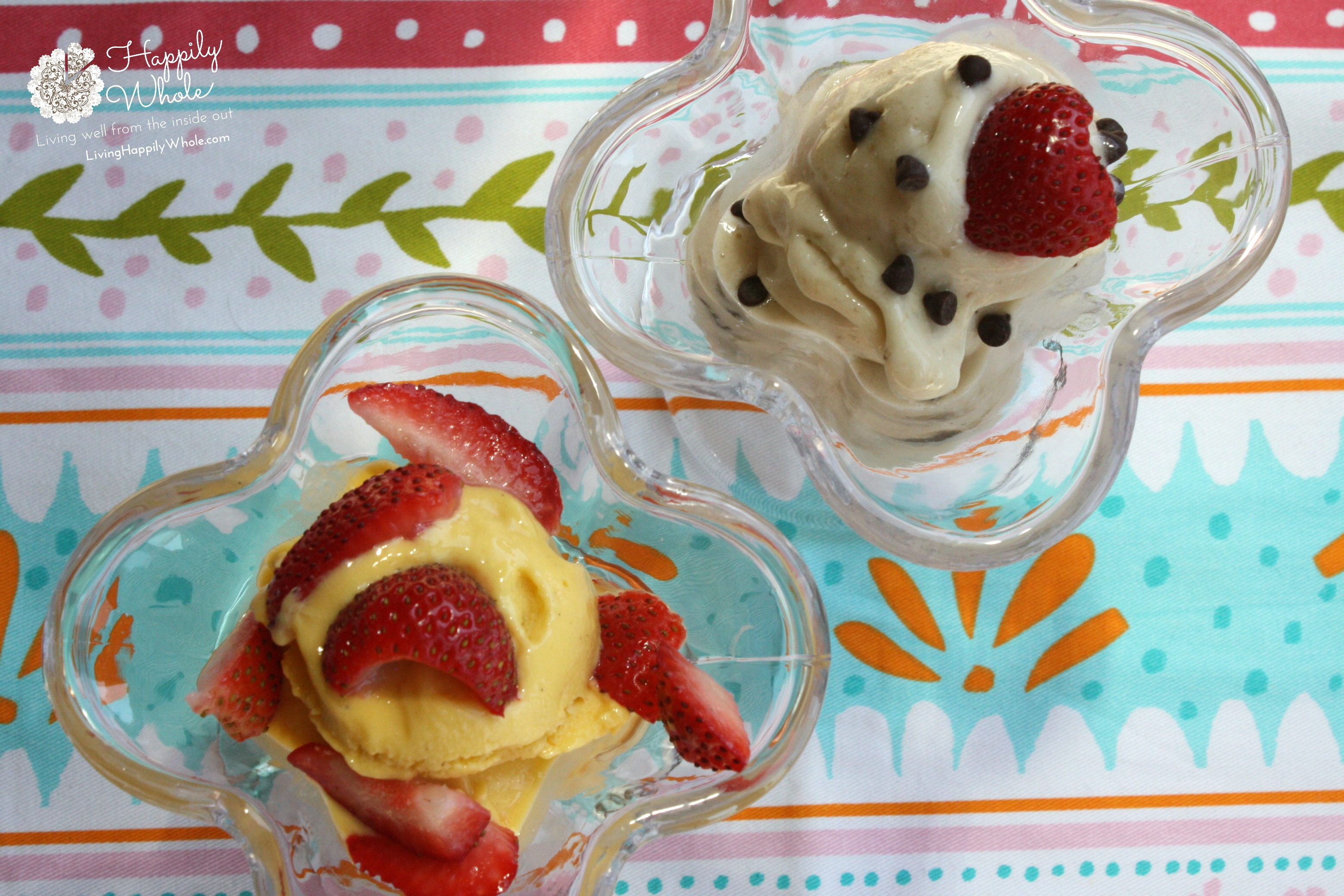 Healthy Mango Frozen Yogurt and Banana Soft Serve