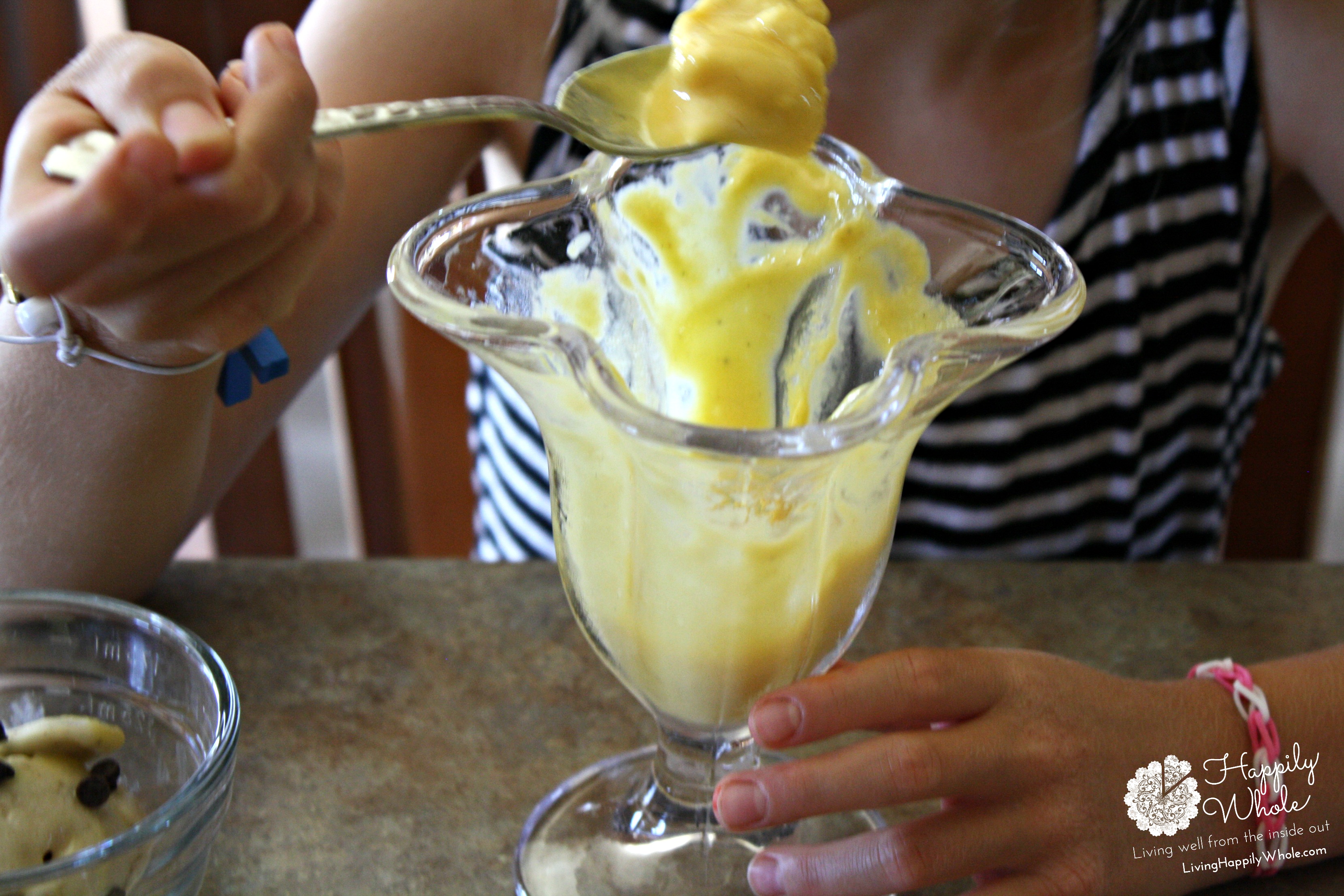 Healthy Mango Frozen Yogurt and Banana Soft Serve