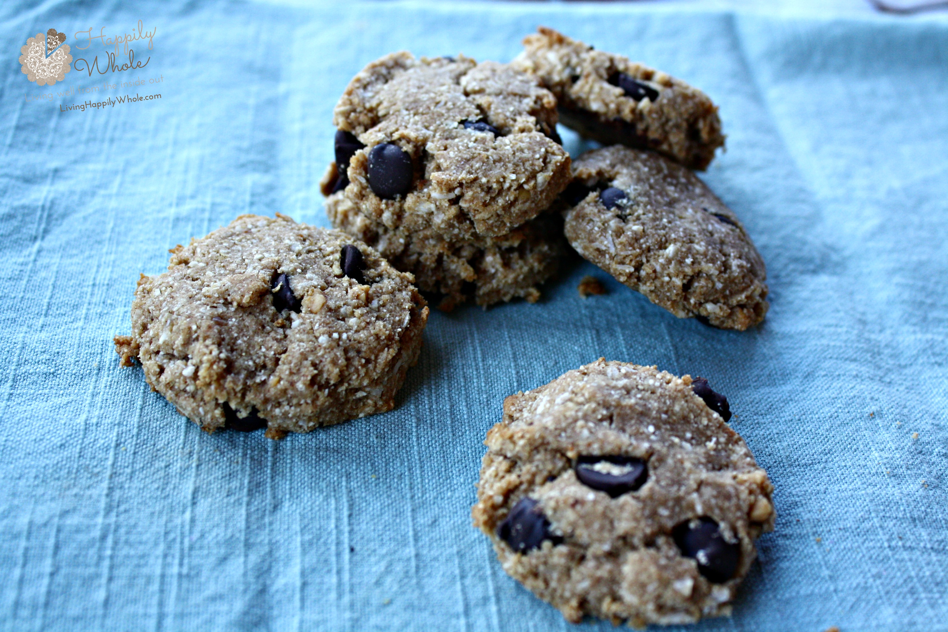 Sugar and Gluten free breakfast cookies