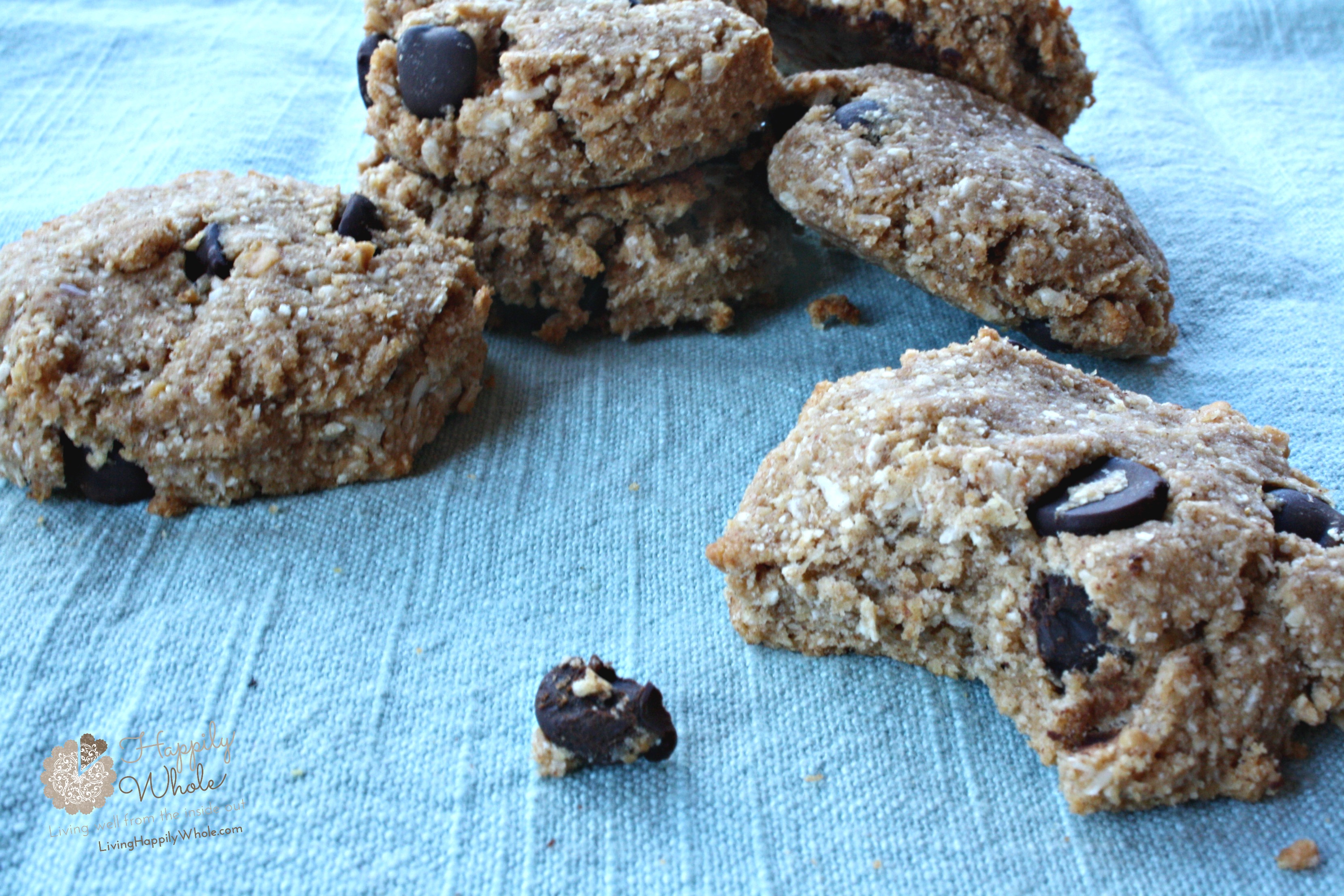 Sugar and Gluten free breakfast cookies