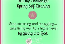 30 day spring self-cleaning challenge 