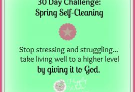 30 day spring self-cleaning challenge 
