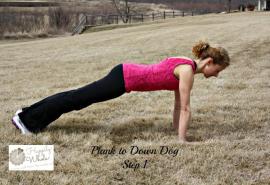 Straight Arm Plank