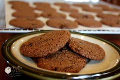 Almond Flour, Cocoa Cookies