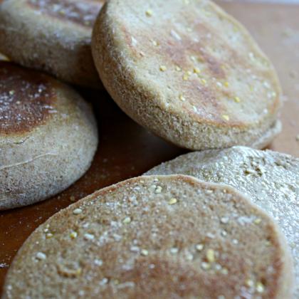 Wholesome, Whole grain Homemade Sandwich Rounds