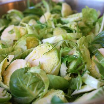 Coarsely Cut Brussels Sprouts