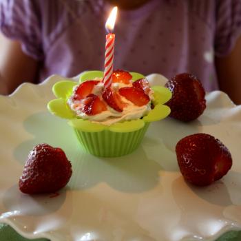 Birthday Cupcakes, vanilla with maple buttercream