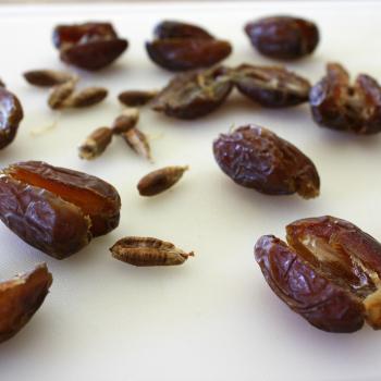 Decadent Dates-Sliced