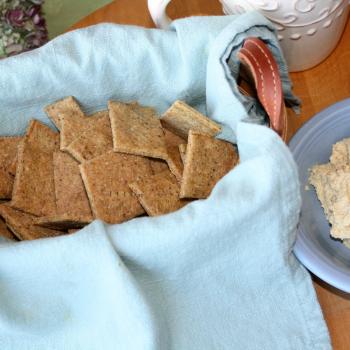 Gluten Free MultiGrain Cracker snack with hummus