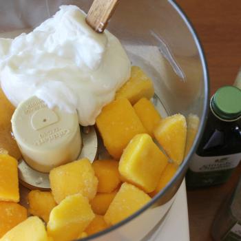 Mango Frozen Yogurt in food processor