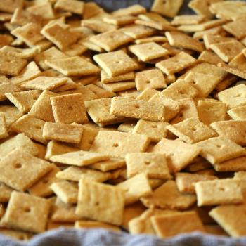 Easy Cheesy Crackers, gluten and grain free. Baked!