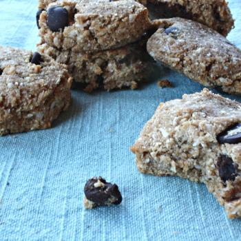 Sugar and Gluten free breakfast cookies