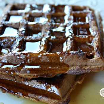 Whole Grain Pumpkin Waffles and Pancaakes