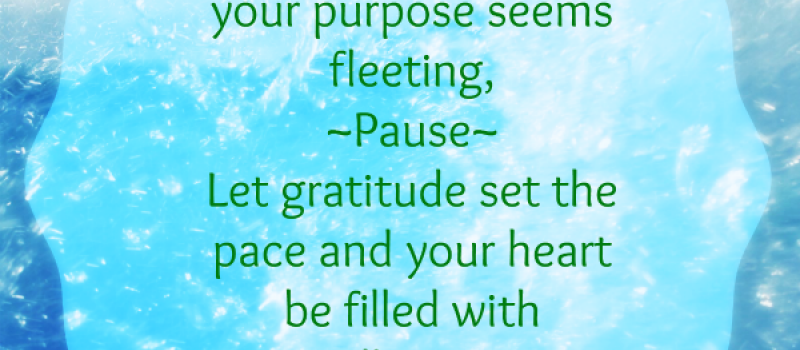 God&#039;s grace and gratitude set the pace
