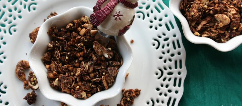 Chocolate Coconut Christmas Gift Granola