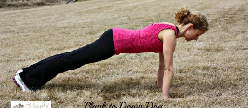 Straight Arm Plank