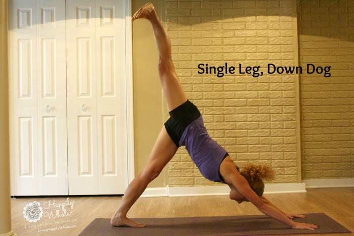 Single Leg Downward Facing Dog