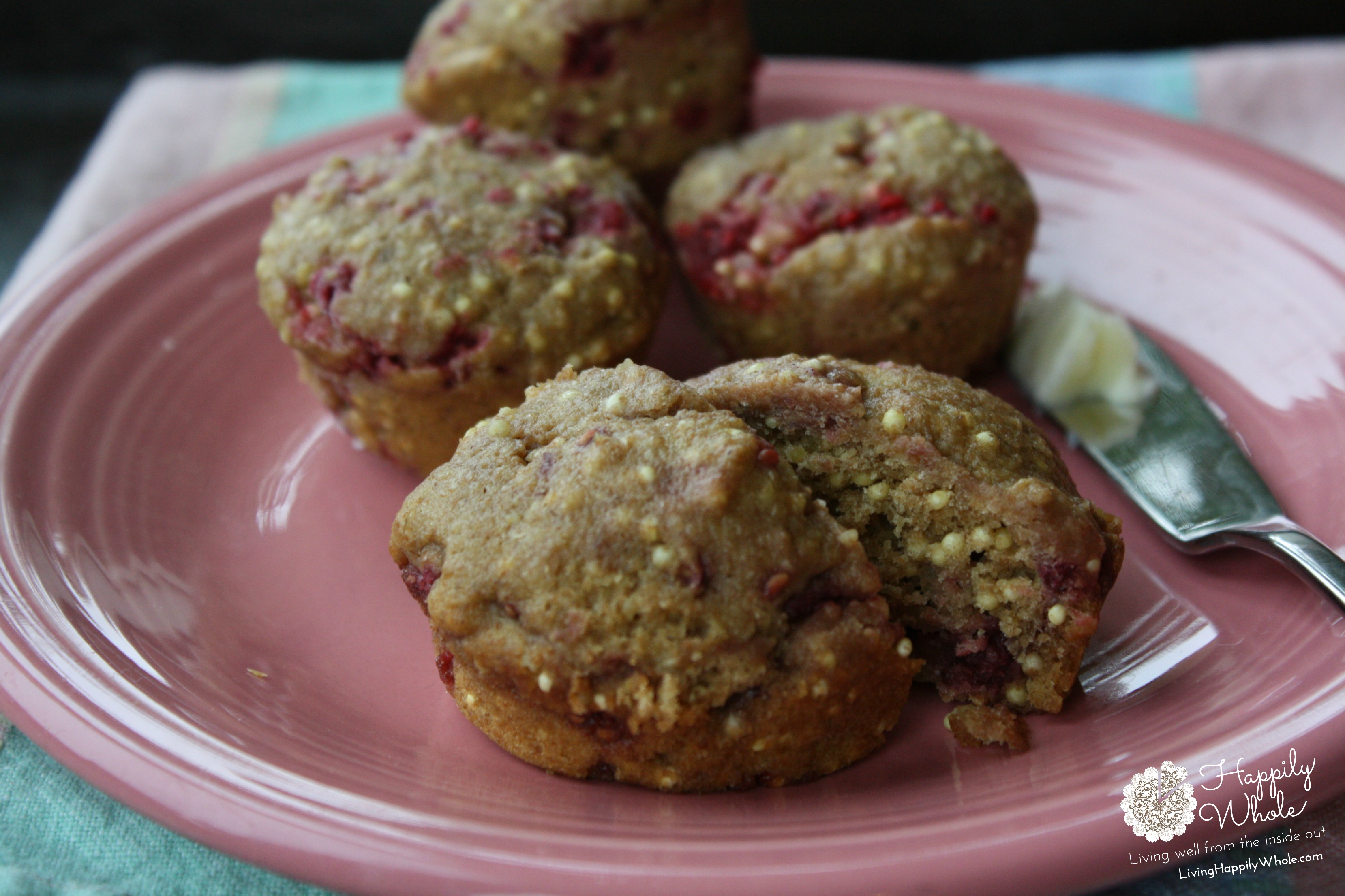 Cranberry Millet Muffins