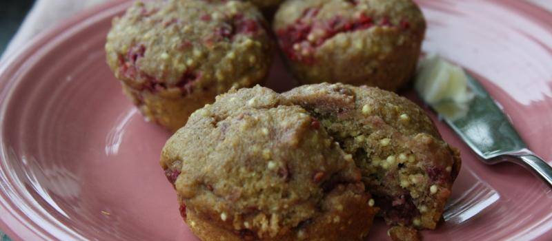 Cranberry Millet Muffins
